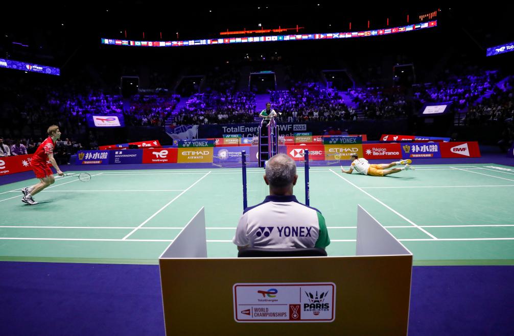 这种适应性 这种适应性