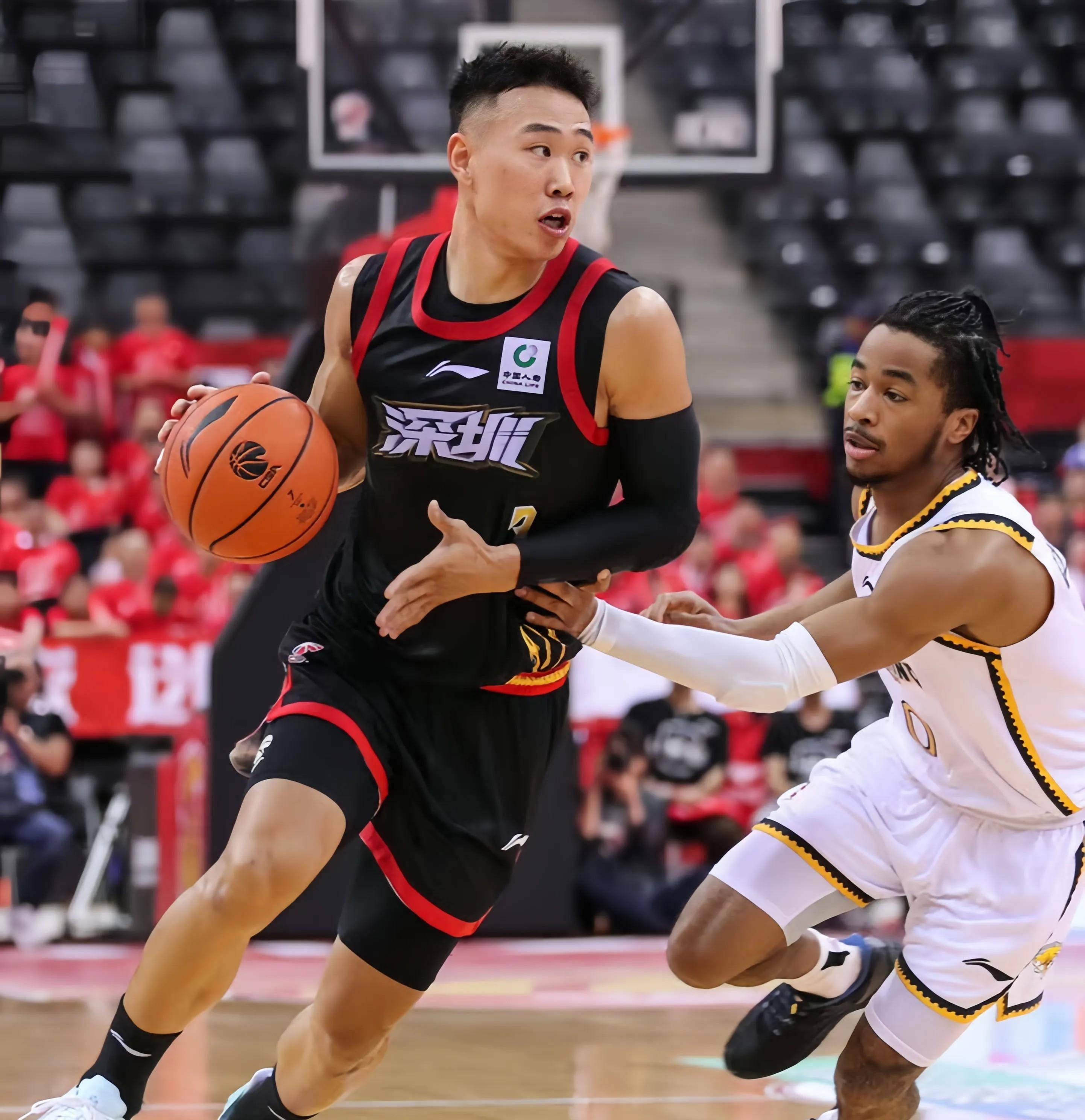 将个人职业 将个人职业