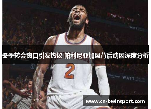 冬季转会窗口引发热议 帕利尼亚加盟背后动因深度分析