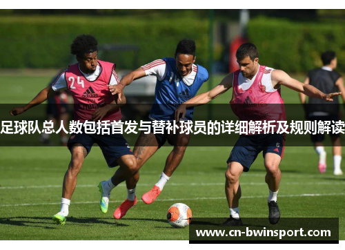 足球队总人数包括首发与替补球员的详细解析及规则解读