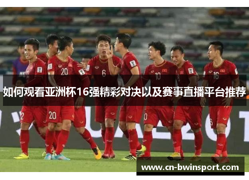 如何观看亚洲杯16强精彩对决以及赛事直播平台推荐