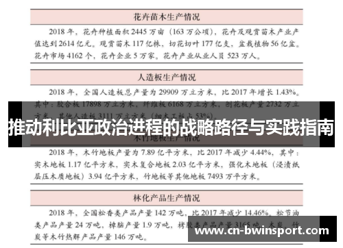 推动利比亚政治进程的战略路径与实践指南