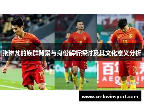 张琳芃的族群背景与身份解析探讨及其文化意义分析