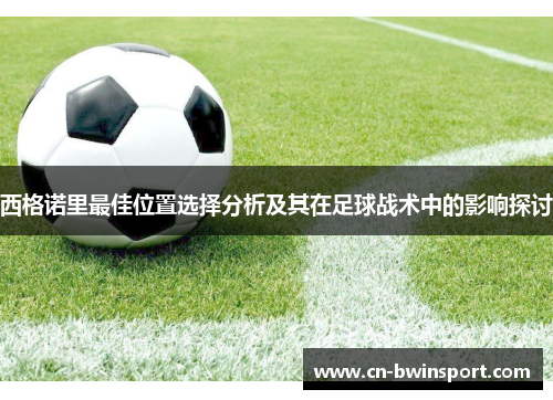 西格诺里最佳位置选择分析及其在足球战术中的影响探讨